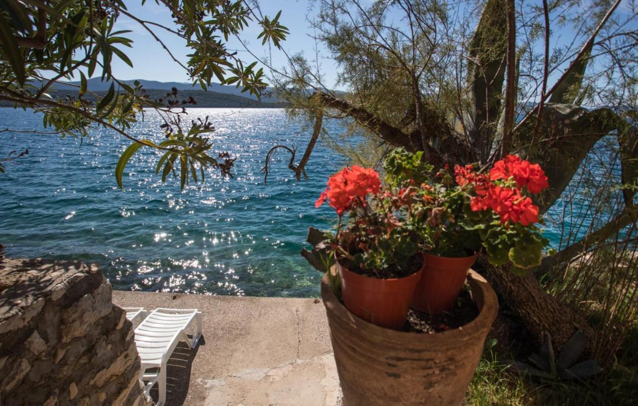 Apartmani Nikoletic كليك المظهر الخارجي الصورة